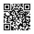 QR Code (код быстрого отклика)